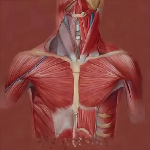 Наше тело — Gesundheit und Sport Telegram