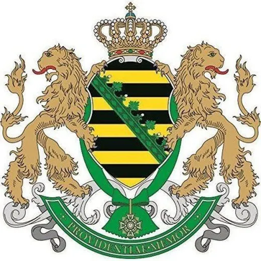 ✏️ Freie Sachsen Elbflorenz 🤍💚 Region Dresden — История Telegram