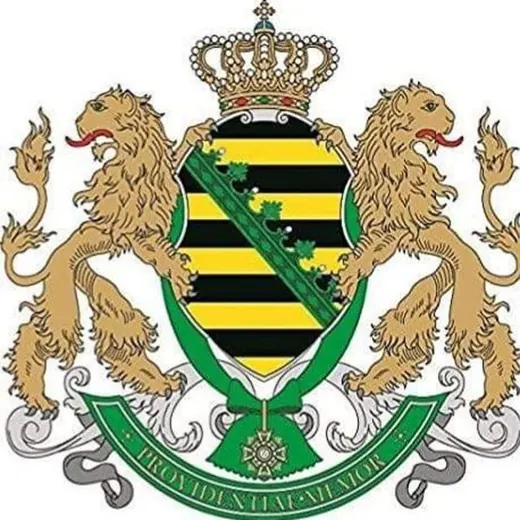 FREIE SACHSEN LK Zwickau — История Telegram