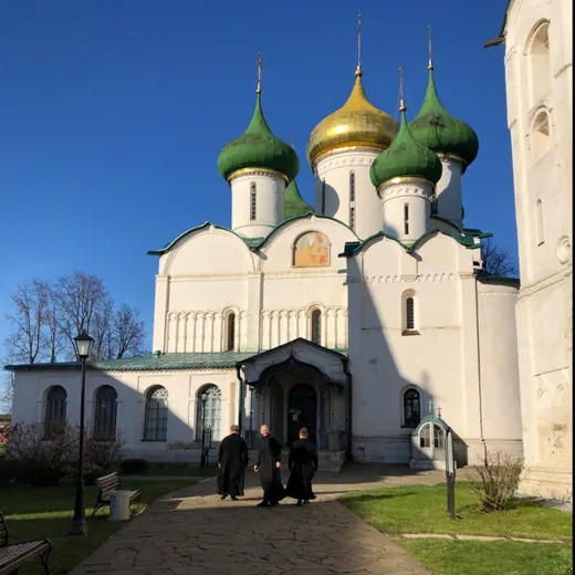 SUZDAL_SPAS — Развитие, Обучение Telegram