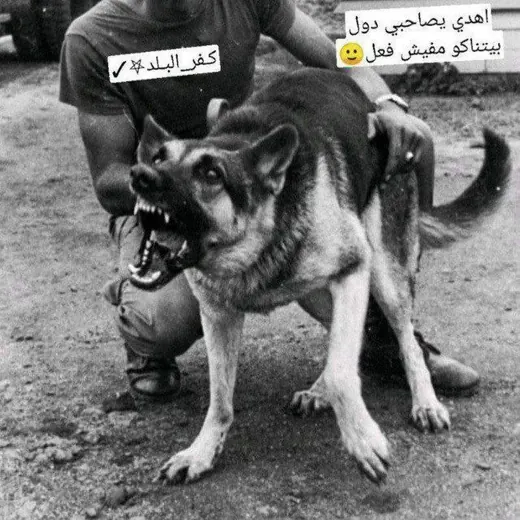 𓂀‌‌‏ ＥＬ؏ＲＥＫＡ🩸𓀎⤶ — Для Взрослых Telegram