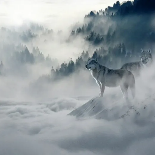 Wallpapers And Art — Для Взрослых Telegram