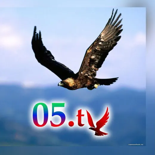 05.tv — Новости и СМИ Telegram