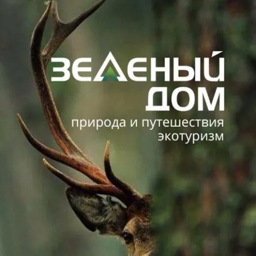 Зеленый Дом🦌 Авторские путешествия со смыслом — Психология Telegram