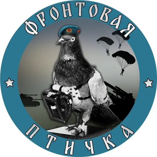 Фронтовая птичка — News and Media Telegram