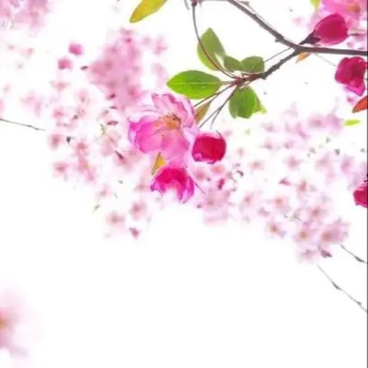 🍉吃瓜头条《新闻|搞笑|爆料》 — Adults Only Telegram