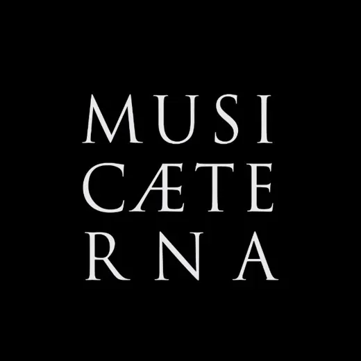 musicAeterna — Развитие, Обучение Telegram
