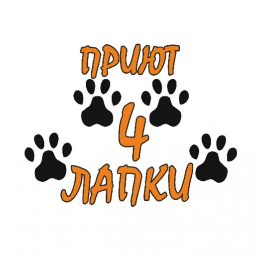 Донецкий приют 🐾4 ЛАПКИ🐾 — News and Media Telegram