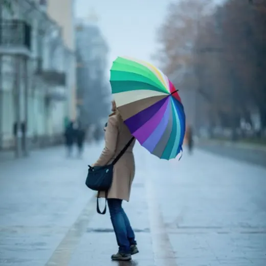 Фотолила — News and Media Telegram