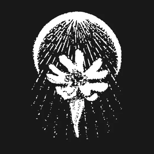 Silene Noctiflora — Блоги Telegram