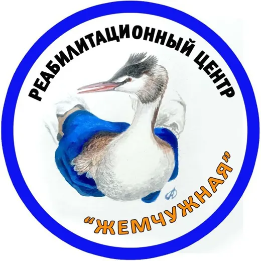 Жемчужная Реабилитационный центр Официальный канал — Adults Only Telegram
