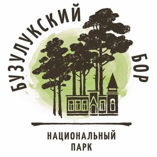 Бузулукский бор — Blogs Telegram