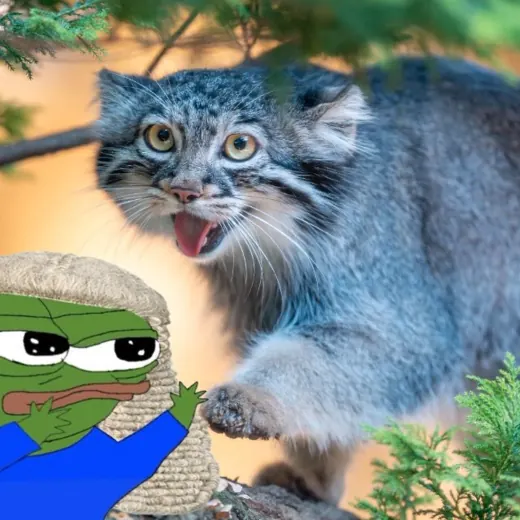 Judge Frog’s S’more Cult — История Telegram