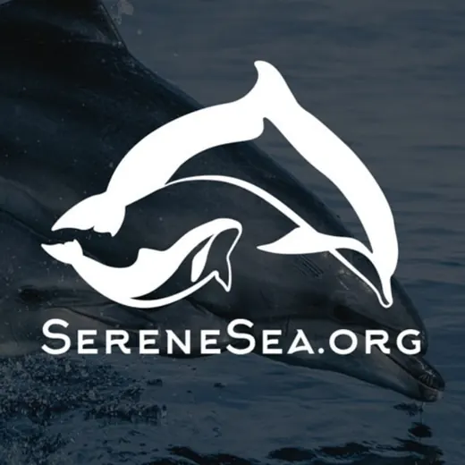 Центр «Безмятежное Море» 🐬 — Для Взрослых Telegram