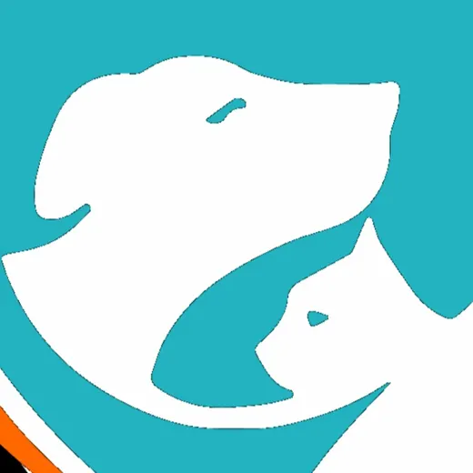 Приют для собак 🐶 Зоопансионат Альма 🏡 Воронеж — Новости и СМИ Telegram