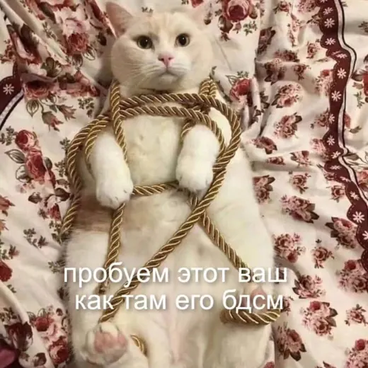 небдсмщица ⛓ — Для Взрослых Telegram