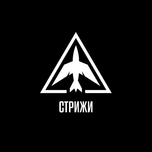 ВБС Стрижи — Новости и СМИ Telegram