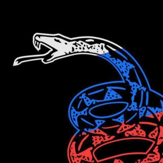 🇷🇺 РУСЛИБ🐱🐍 — Блоги Telegram