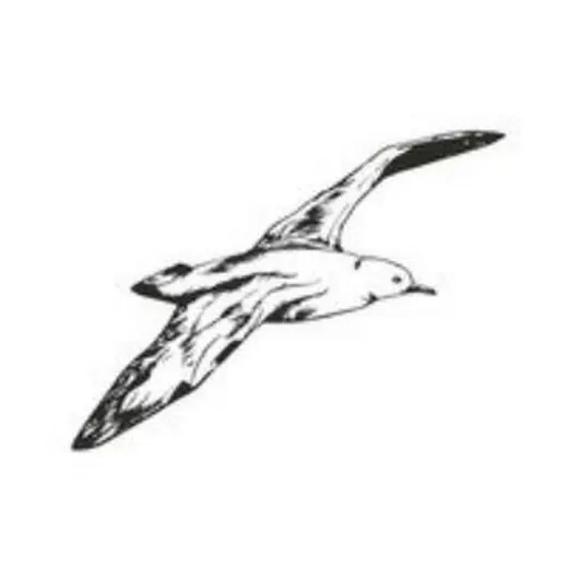 Иркутский буревестник — Новости и СМИ Telegram
