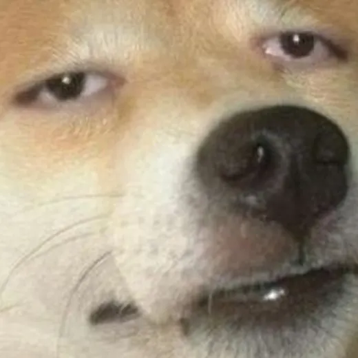 i don't know how to be funny anymore — Для Взрослых Telegram