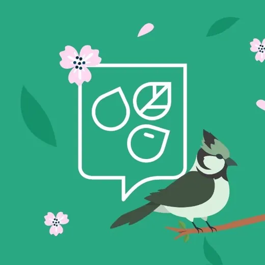Природа Москвы — Строительство и ремонт Telegram