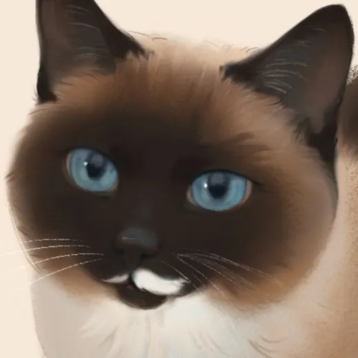 HOPPKI 💕 — Для Взрослых Telegram
