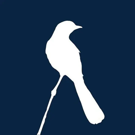 Пересмешник Пальмиры — Новости и СМИ Telegram