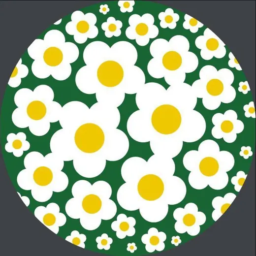 Ромашковый сбор — Развитие, Обучение Telegram