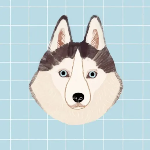 Тоист вещает, что... — Для Взрослых Telegram