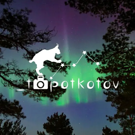 _topotkotov — Новости и СМИ Telegram