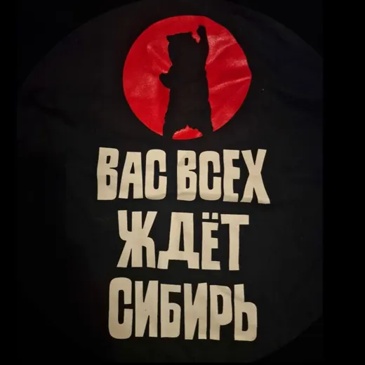 Ortega Z 🇷🇺 — Блоги Telegram
