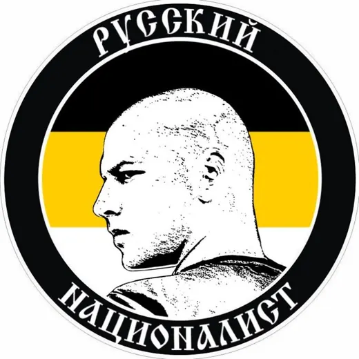 Русский Националист — Развитие, Обучение Telegram