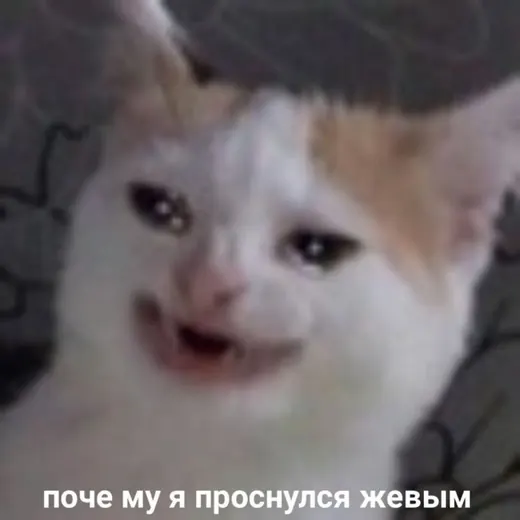 ради чего я живу — Movies and Series Telegram