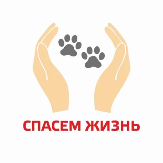 СПАСЕМ ЖИЗНЬ | Волонтерское движение в защиту животных — Cars, Motorcycles, Tech Telegram