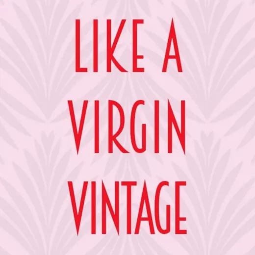 Like a virgin vintage — Развитие, Обучение Telegram