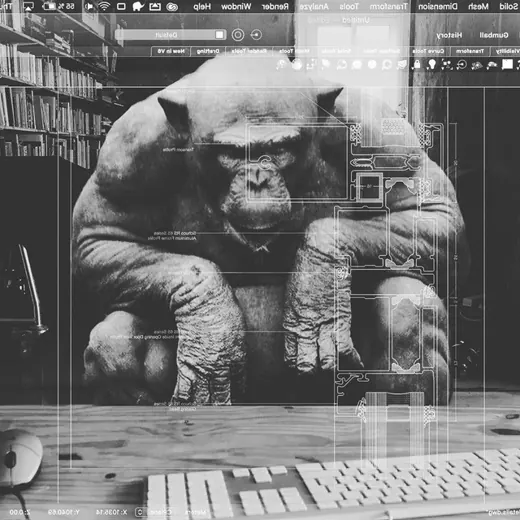 Projects & Principles — Наука и образование Telegram