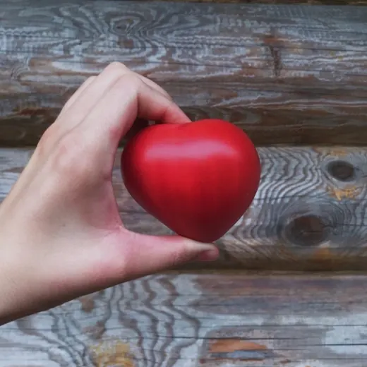 Из Селютинки с любовью — Развитие, Обучение Telegram
