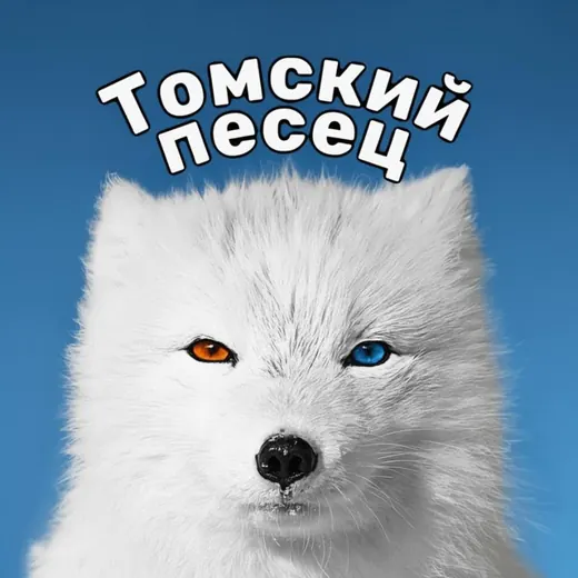 Томский песец — Новости и СМИ Telegram