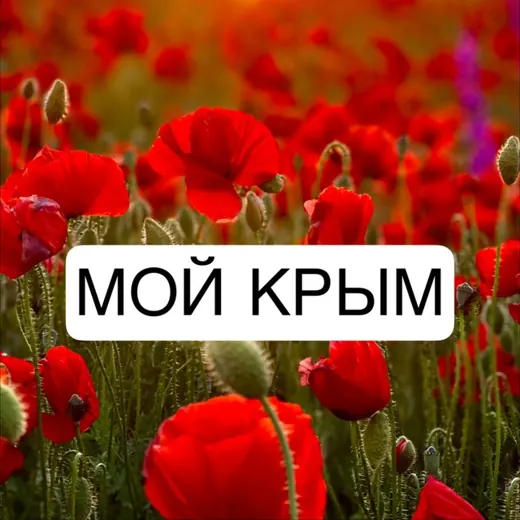 Мой Крым — Новости и СМИ Telegram
