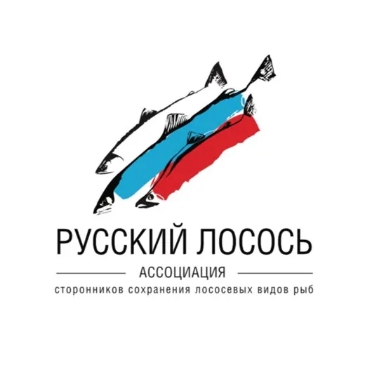 РУССКИЙ ЛОСОСЬ — Новости и СМИ Telegram