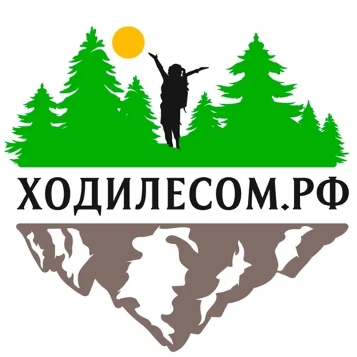 ХодиЛесом | Туры по Приморью — Новости и СМИ Telegram