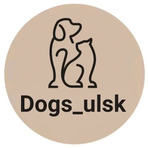 🐕Dogs_ulsk🐈Дорога Добра❤️ — News and Media Telegram