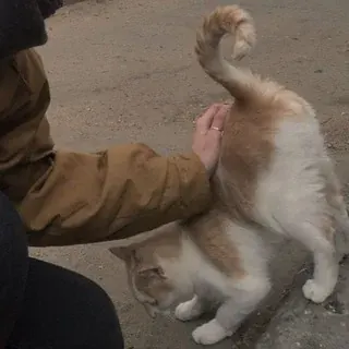 Настя кидает картинки в группу — Для Взрослых Telegram