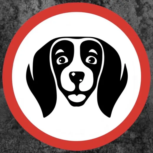 КофеБон🐶 — Развитие, Обучение Telegram