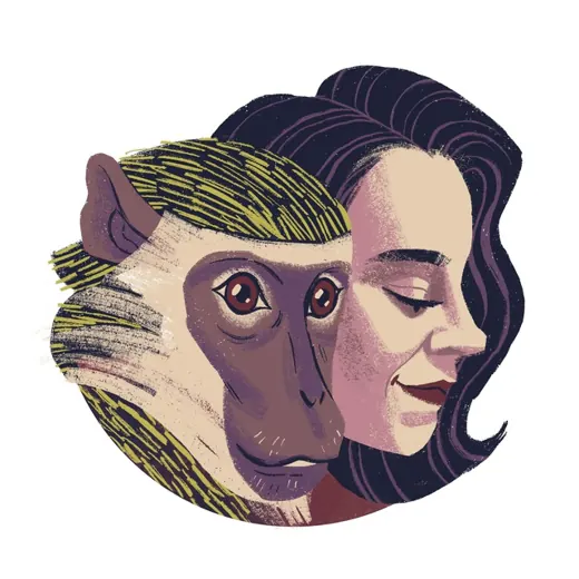 Мартышка — Новости и СМИ Telegram