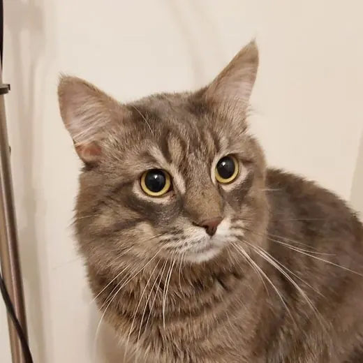 Хуеем. Заметки — Réservé aux adultes Telegram