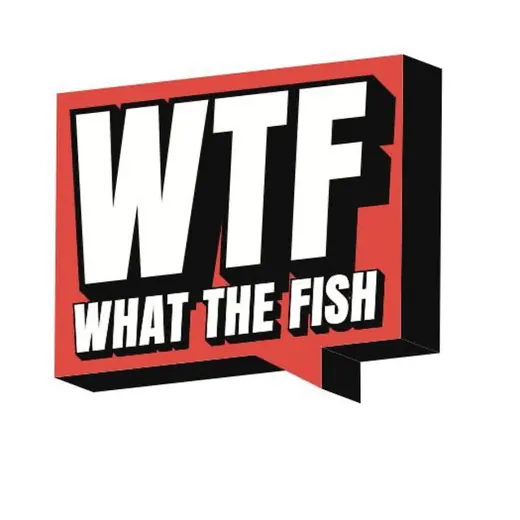 WTFish.ru - эстетика современной рыбалки — Новости и СМИ Telegram