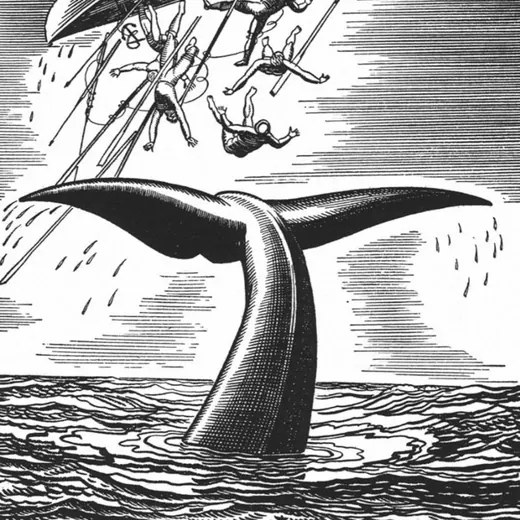 Рыба Лоцман — Новости и СМИ Telegram