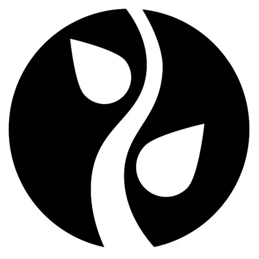Rajdian — [ӕ] (Алик Пухати) — Новости и СМИ Telegram
