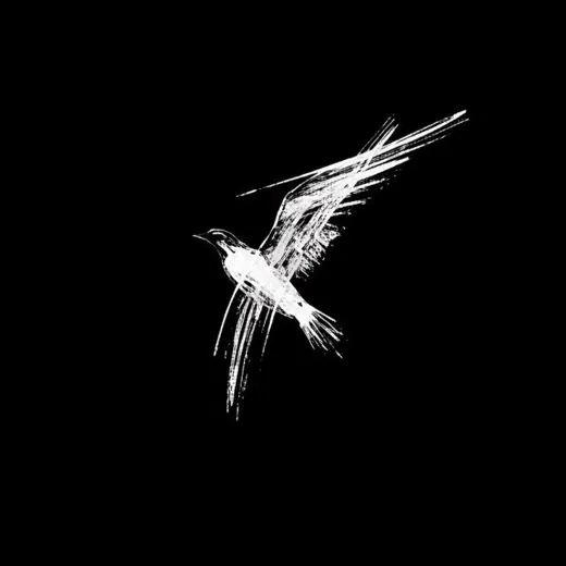 Ценина: птица в грудной клетке — Blogs Telegram